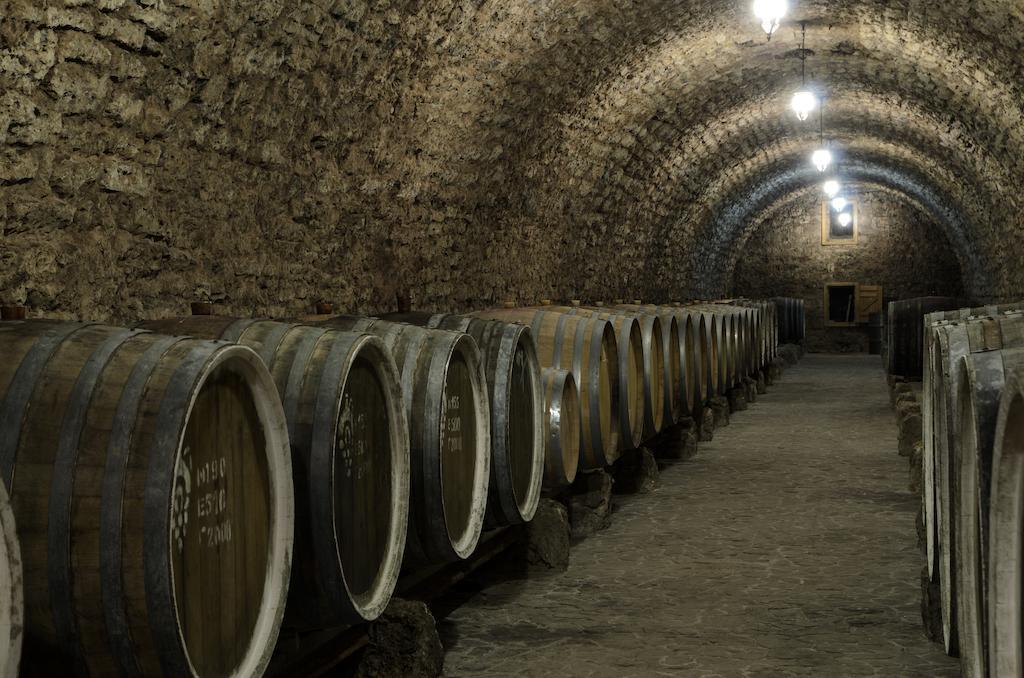 Отель Prince Trubetskoi Winery Новая Каховка Экстерьер фото